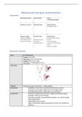 Overzichtelijke samenvatting myofasciale therapie van de extremiteiten