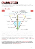 3. circulatiestelsel