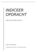 indiceer opdracht HBO-V