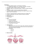 NURS 4628 - Dysthymias Study Guide.