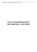 Cellular Respiration + Digestion APES1001 MBBCH I 