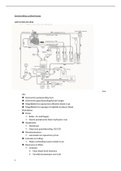 samenvatting cardiochirurgie VRHv6