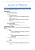 CHAPTER 2 - protozoa