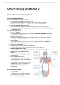 Samenvatting anatomie vervolg 