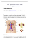 BIOD 152 A&P II Exam Modules 5 Exam 