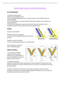 Samenvatting IA2 deel 2