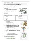 functionele anatomie schouder