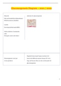 Gluconeogenesis Diagram Study Guide 2021 _ South University