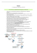 Medisch HC 2: Toxoplasmose, tuberculose, AIDS/ HIV van Marc Veenstra