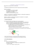 Strategie 3: onderzoek & analyse