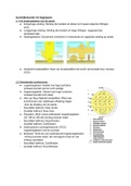 Samenvatting buiteNLand 3e ed vwo 4 leerboek hoofdstuk 2, ISBN: 9789001878399  Aardrijkskunde