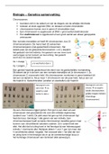 Samenvatting Biologie: Genetica 