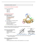 functionele anatomie wervels 3