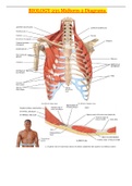 BIOLOGY 235 Midterm 2 Diagrams