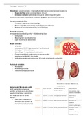 Pathologie / Ziekteleer TLP4 - Amstel Academie - (anesthesiemedewerker)