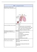 Uitgewerkt MBG samenvatting