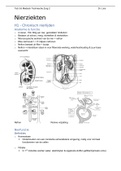 Samenvatting  TAB 3.6: Medisch Technische zorg 2; Lins