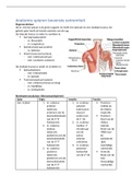 Samenvatting Prometheus anatomische atlas 1 - Algemene anatomie en bewegingsapparaat, ISBN: 9789036815383  Anatomie spieren bovenste extremiteit