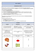 Samenvatting wiskunde 2: didactiek meetkunde - meten en metend rekenen - probleemoplossend denken - geïntegreerde oefeningen