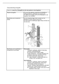 Echografie van de Vena Portae en Vena Hepaticae