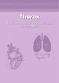 Thorax samenvatting gehele stof 2021-2022