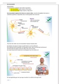 thema 3 zenuwcel en zenuwstelsel