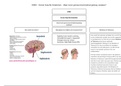 Graduaat Orthopedagogie | Mindmap samenvattingen cursus Doelgroepen B