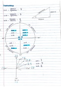 Grade 11 trigonometry and data handling exam notes