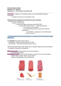 Samenvatting biologie - Nectar - 5 havo -  hoofdstuk 14 - reageren