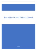 reflectieverslag (trajectbegeleiding)