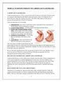 Gastrointestinal tract; Anatomy and physiology of Digestive system.