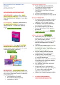 Pharmacology Respiratory Notes