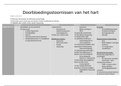 Samenvatting doorbloedingsstoornissen