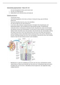 samenvatting Orgaansystemen onderdeel nieren hoorcolleges, microscopie en anatomie