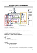 Samenvatting pathologisch bloedbeeld 2021