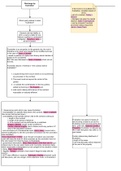 Exam summary flowchart Frustration of Contract- Achieved Distinction Grade