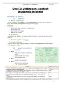 Samenvatting  Beleidsthema's In De Jeugdhulp (MBR65A)