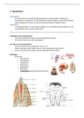 Medische en Tandheelkundige vakkennis 2