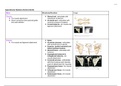 ANAT 1 Skeletal System: Appendicular