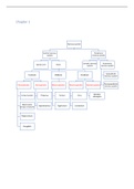 Tekeningen en schema's neuro-anatomie