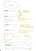 Chemie atoombouw en PSE groepen