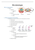 Samenvatting  Microbiologie