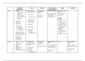 Samenvattend schema ontwikkelingspsychologie