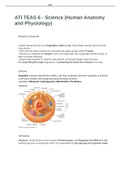 ATI TEAS 6 - Science (Human Anatomy and Physiology) 2021/22 100% LATEST PAPER 