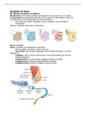 Biologie Nectar vwo 6 -   H 12: Spieren