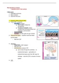 Neuroscience Notes of Lectures 