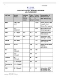 Medical Surgical Nursing comprehensive nursing care plan lab flow sheet