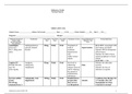 medical Surgical Nursing comprehensive  care plan medication log