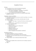 Sympathetic Division of  Peripheral Nervous System