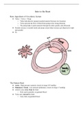 Cardiac Muscle Cells and the Heart 